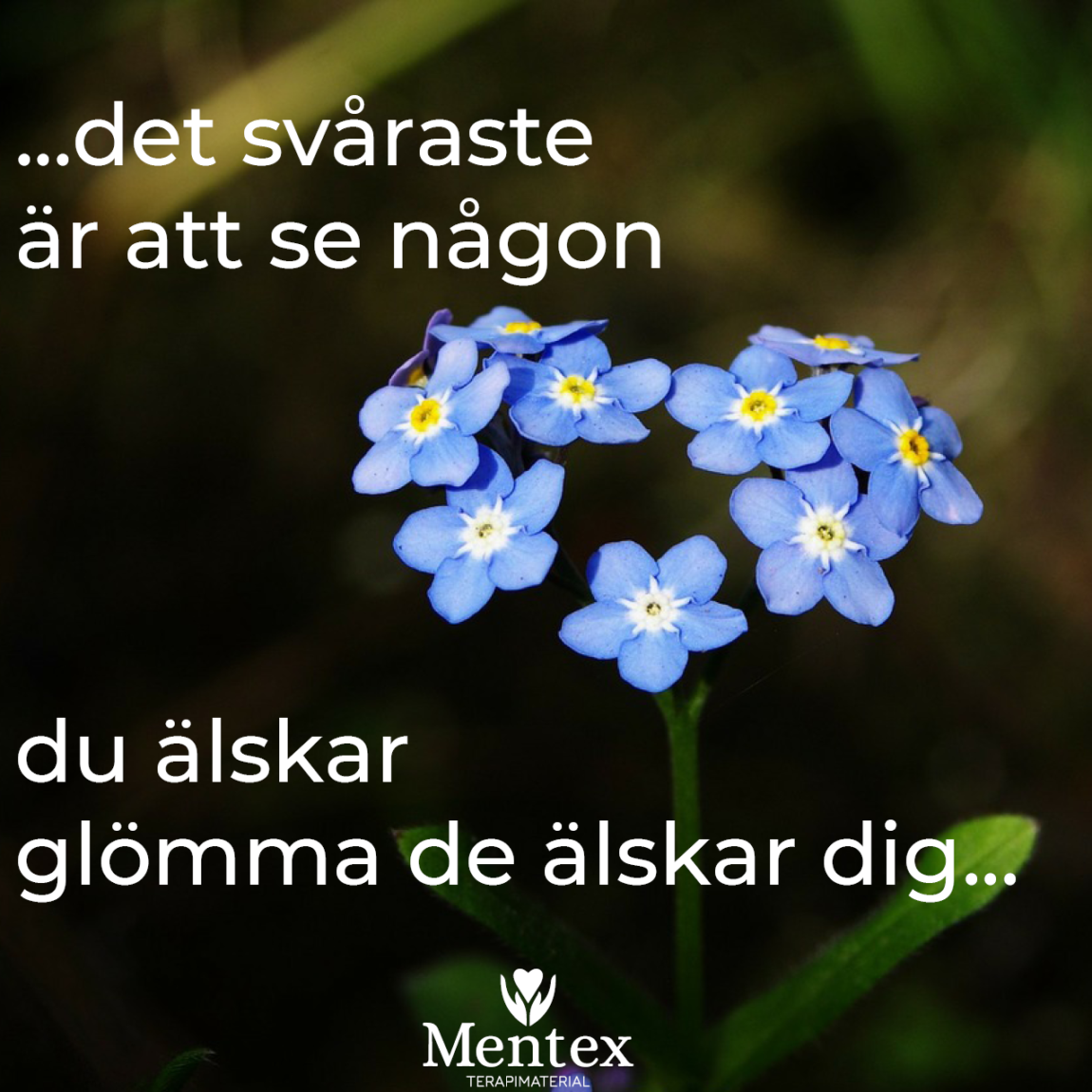 Förgätmigej Alzheimers dagen