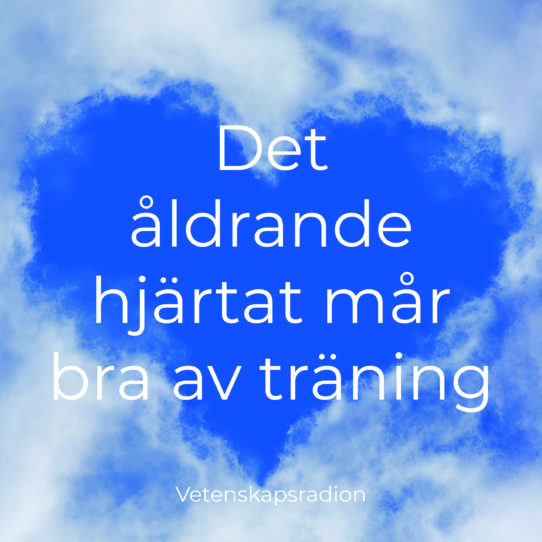 Träning för äldre sittgympa utbildning