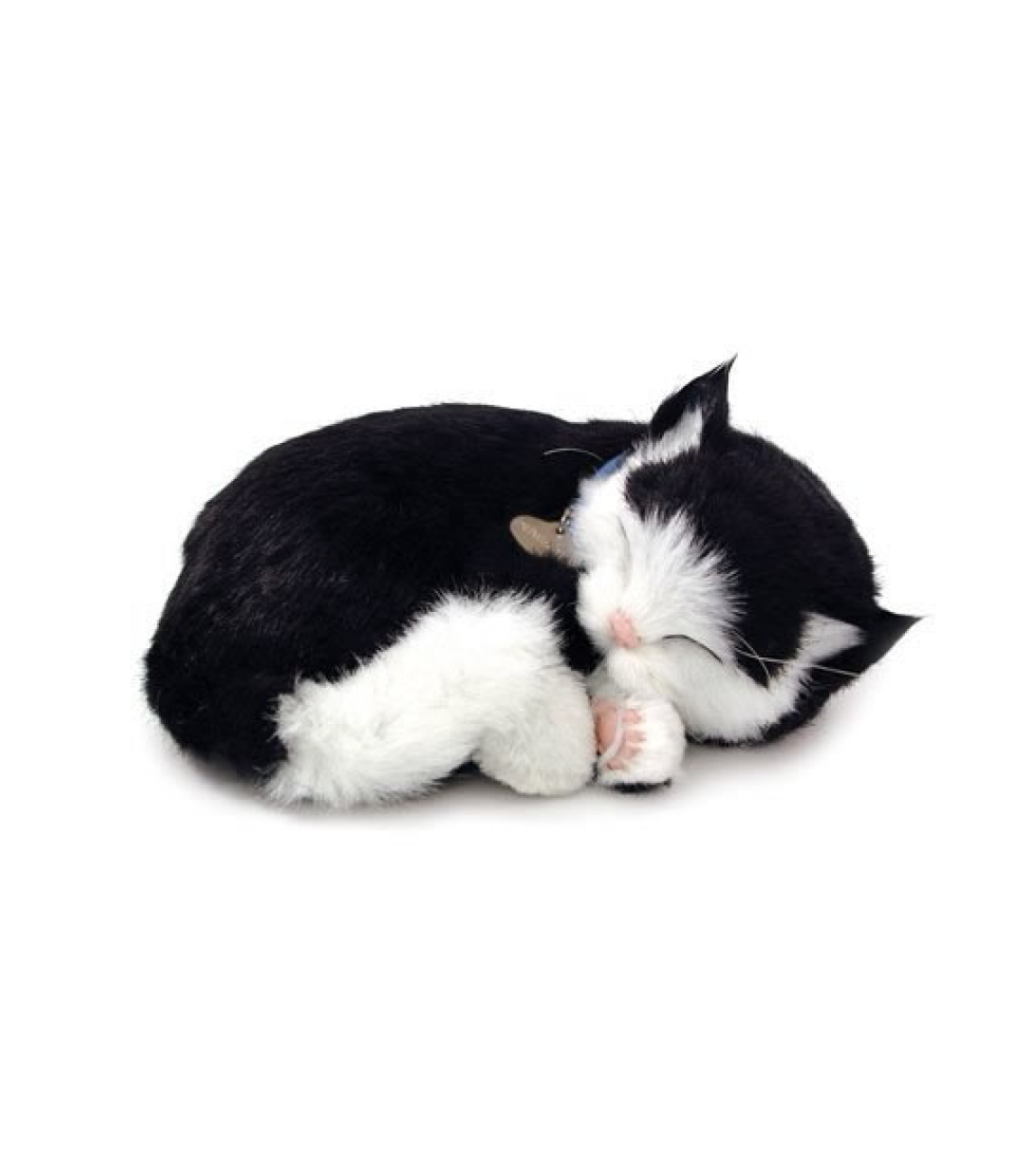 Digital kattunge med andning svart och vit