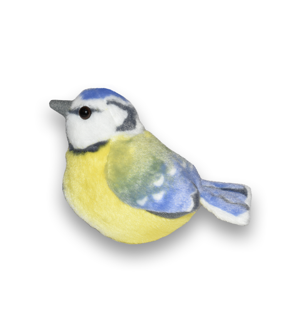 Blåmes fågel med läte mjukdjur