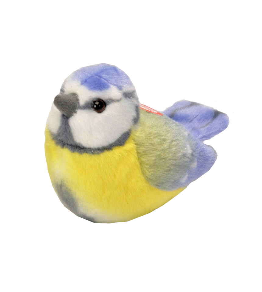 Blåmes fågel med läte mjukdjur 3