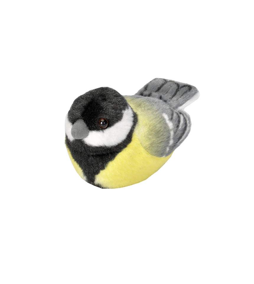 Talgoxe fågel med läte mjukdjur