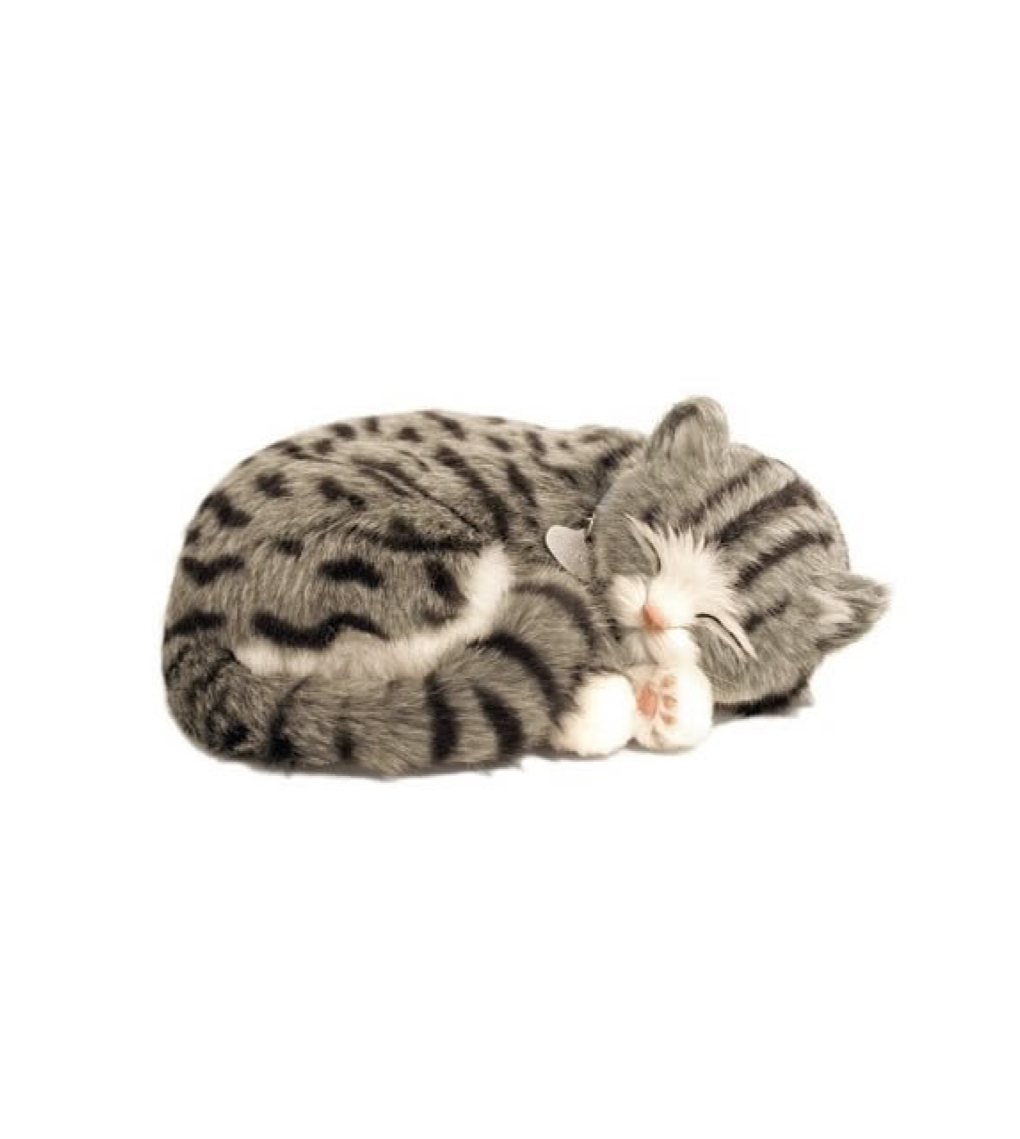 Digital kattunge med andning grå och vit