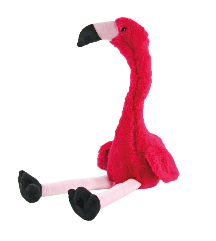 Flamingo härmande talande pratar härmdjur