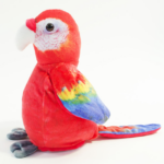 Papegoja härmande talande pratar röd