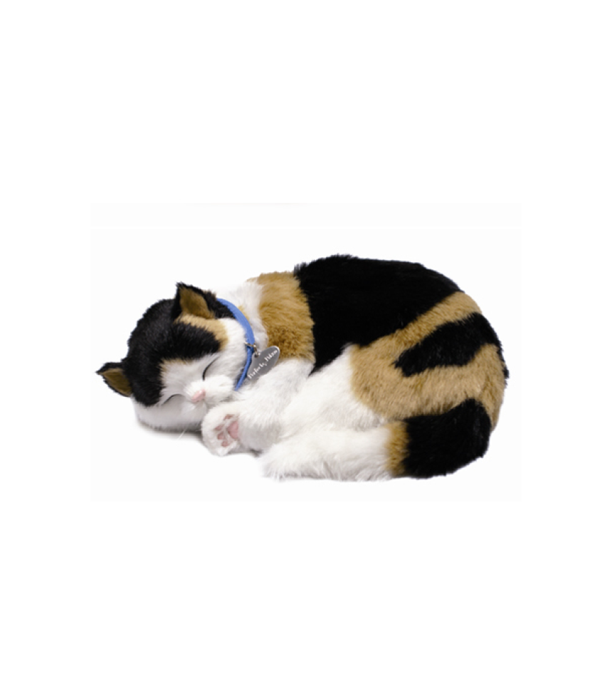 Digital kattunge med andning 3-färgad